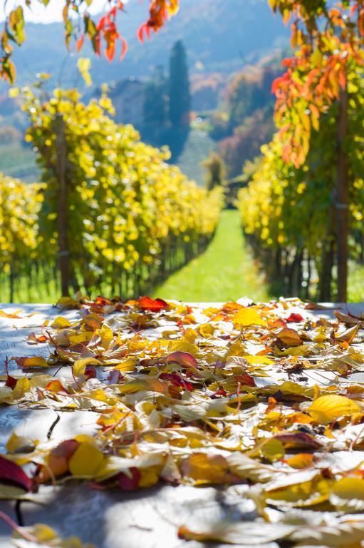 Weingut Wolkanhof Appiano Sulla Strada Del Vino Exterior foto